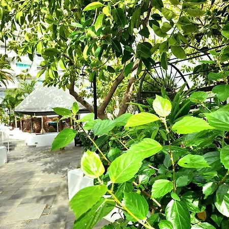 Apartment Modern Pool Front In Las Americas